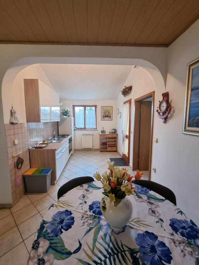 Apartments Jana أوماغ المظهر الخارجي الصورة